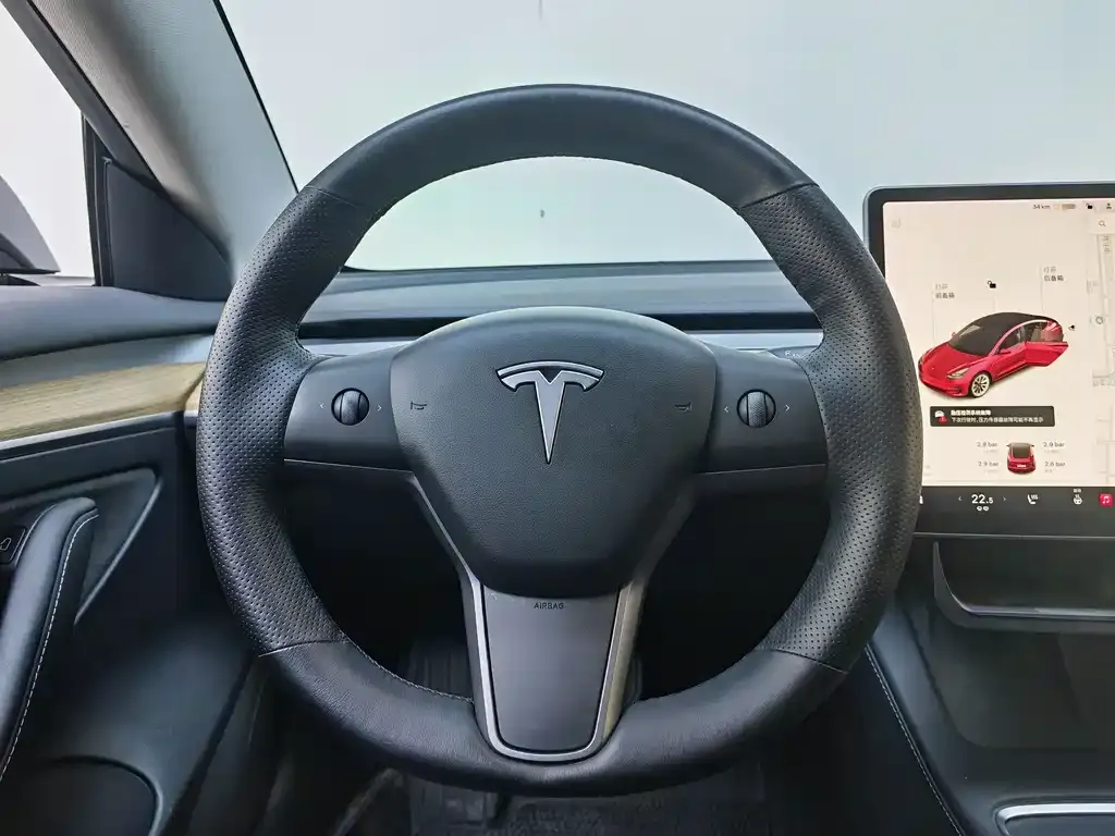 Tesla Model 3 2021 из CN, фото 5