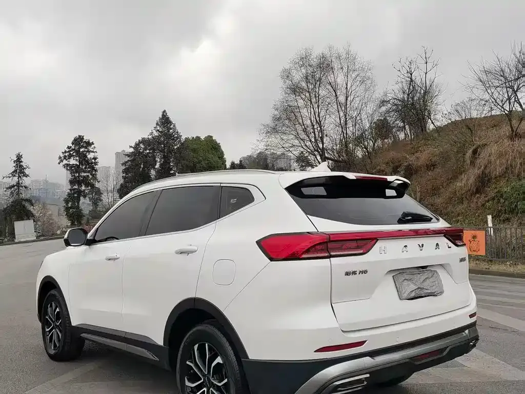 Haval H6 2024 из CN, фото 4