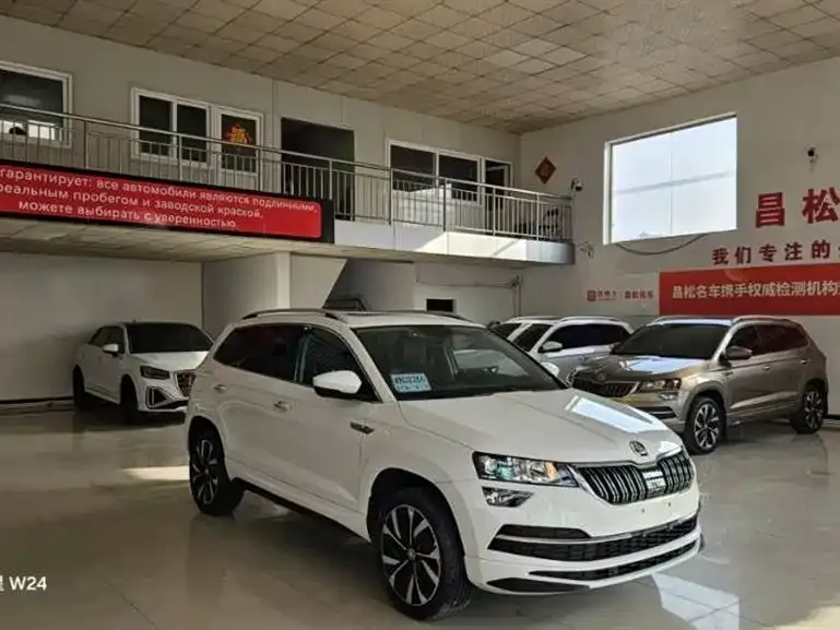 Skoda Karoq 2022 из CN, фото 1