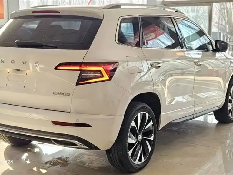 Skoda Karoq 2022 из CN, фото 4