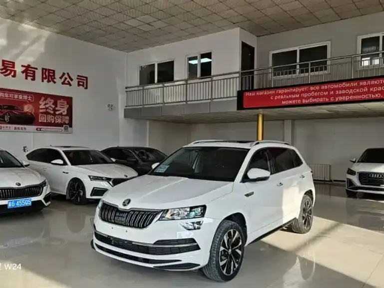 Skoda Karoq 2022 из CN, фото 9