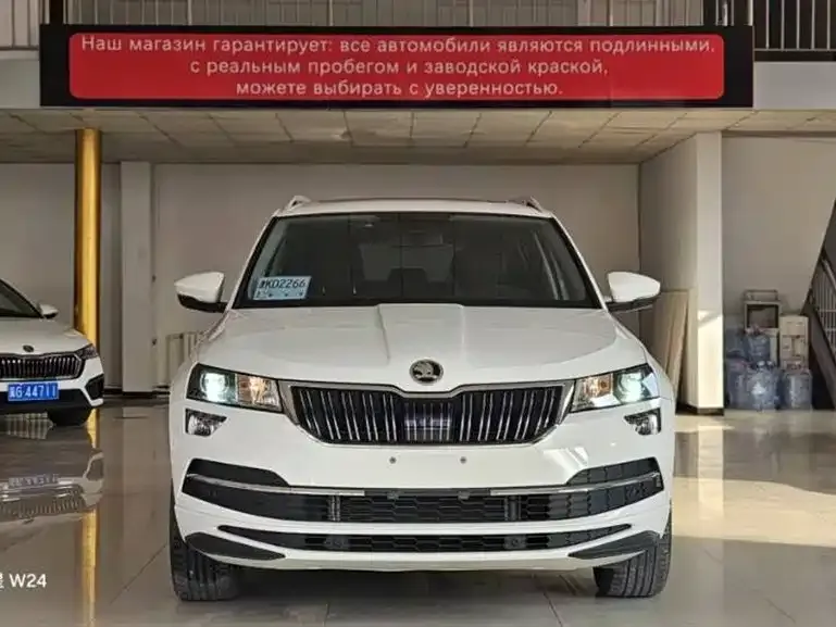 Skoda Karoq 2022 из CN, фото 10