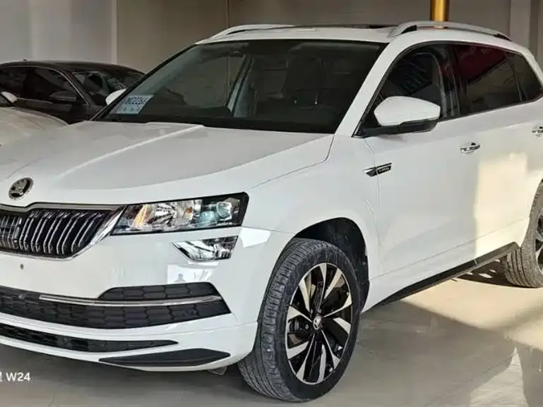Skoda Karoq 2022 из CN, фото 7
