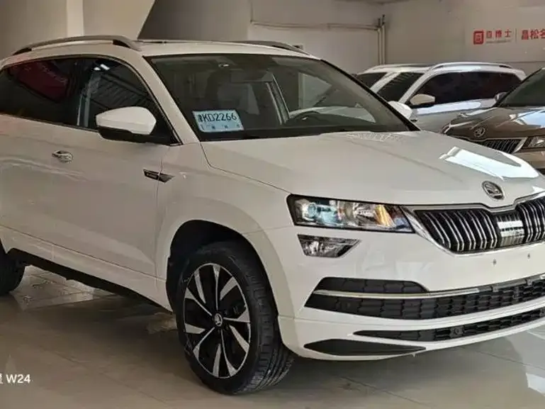 Skoda Karoq 2022 из CN, фото 8