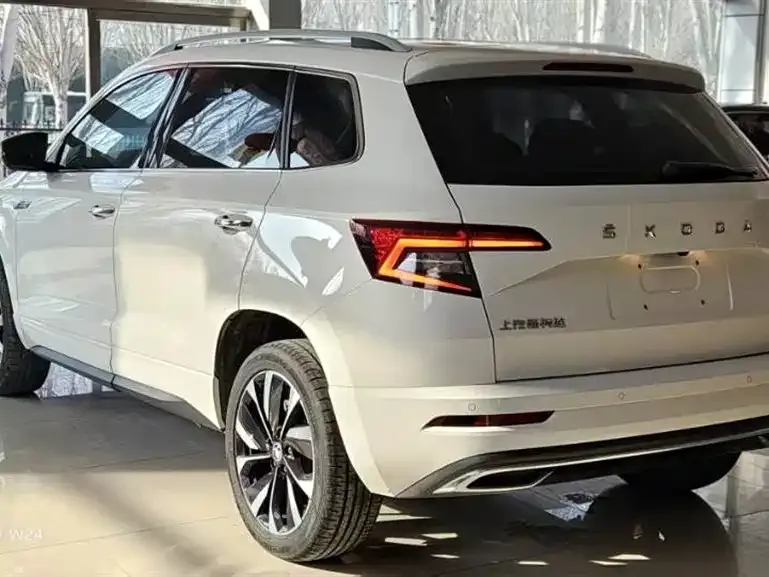 Skoda Karoq 2022 из CN, фото 3