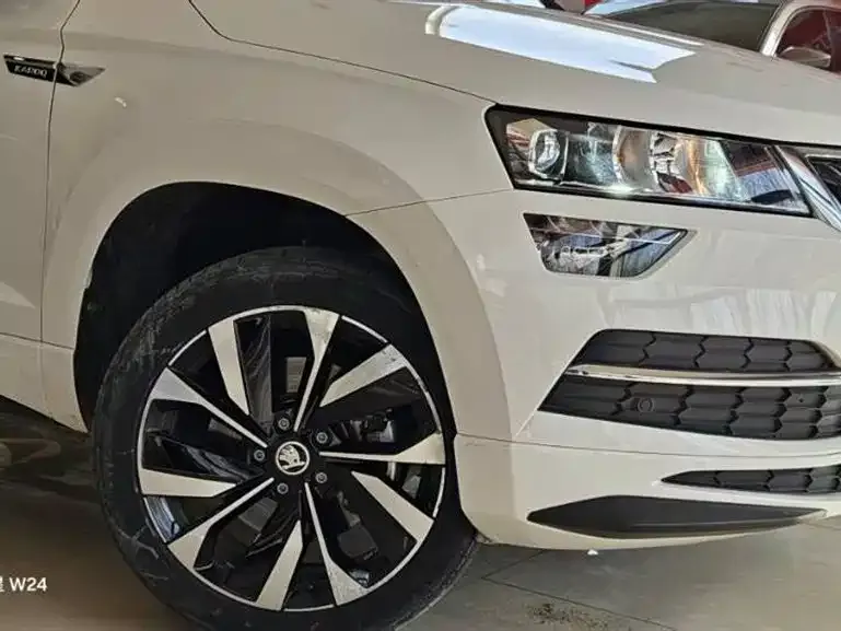 Skoda Karoq 2022 из CN, фото 6