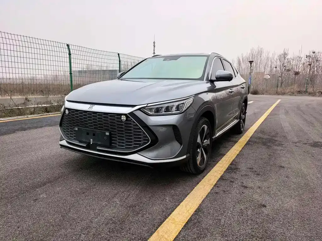 BYD PLUS New Energy 2023 из CN, фото 1