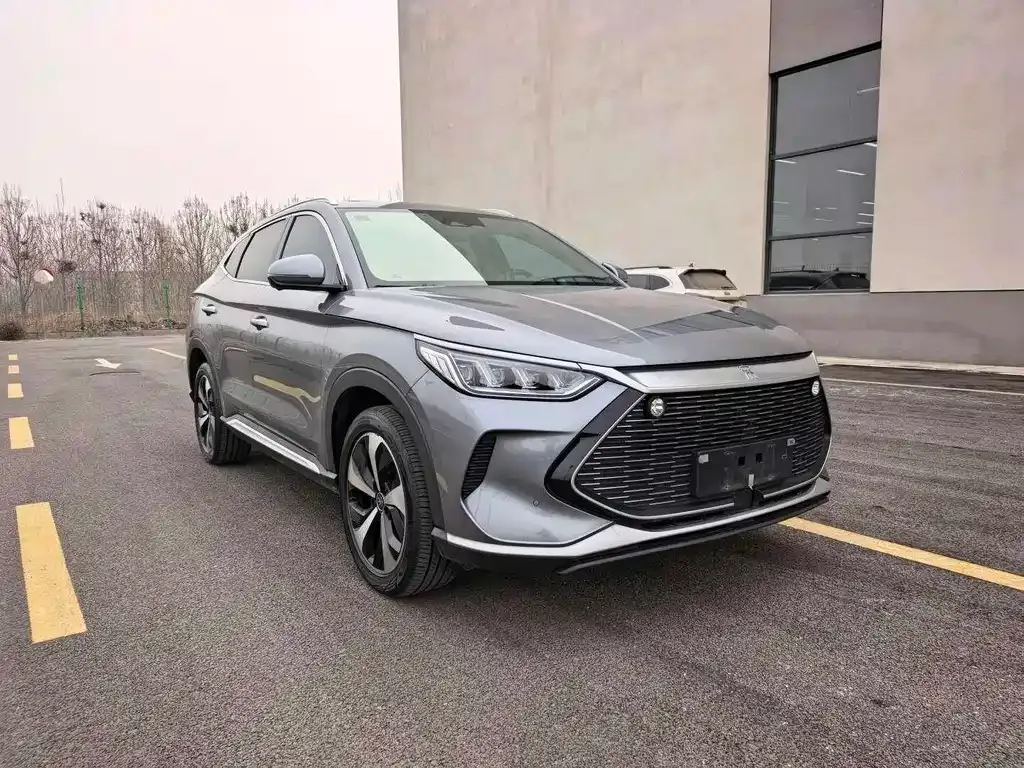 BYD PLUS New Energy 2023 из CN, фото 2