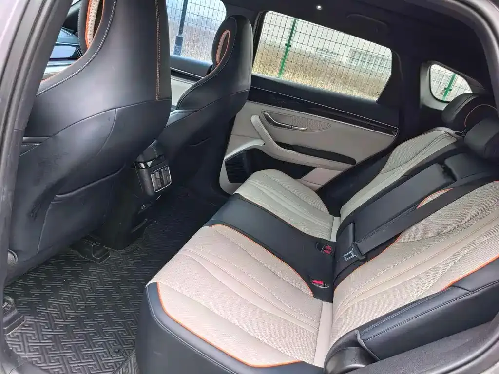 BYD PLUS New Energy 2023 из CN, фото 4