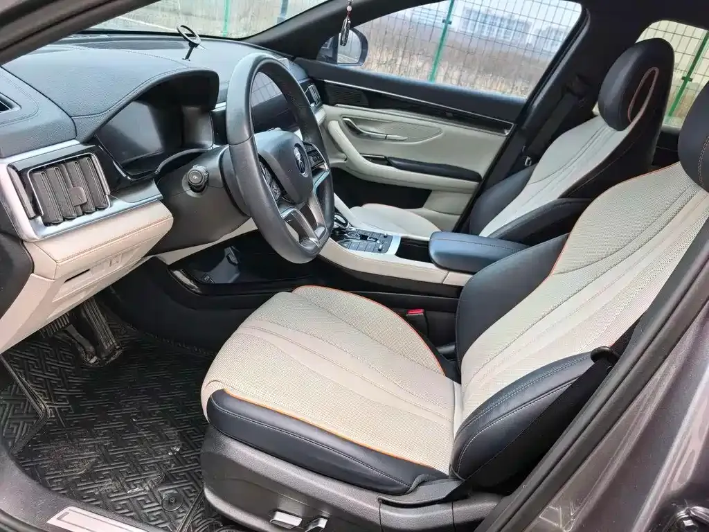 BYD PLUS New Energy 2023 из CN, фото 6