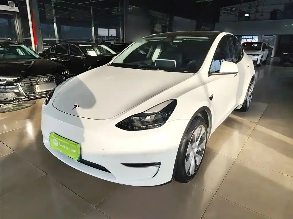 Tesla Model Y 2021 из CN, фото 1