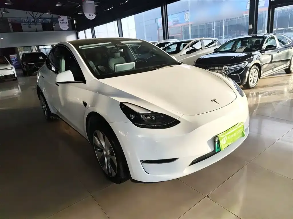 Tesla Model Y 2021 из CN, фото 8