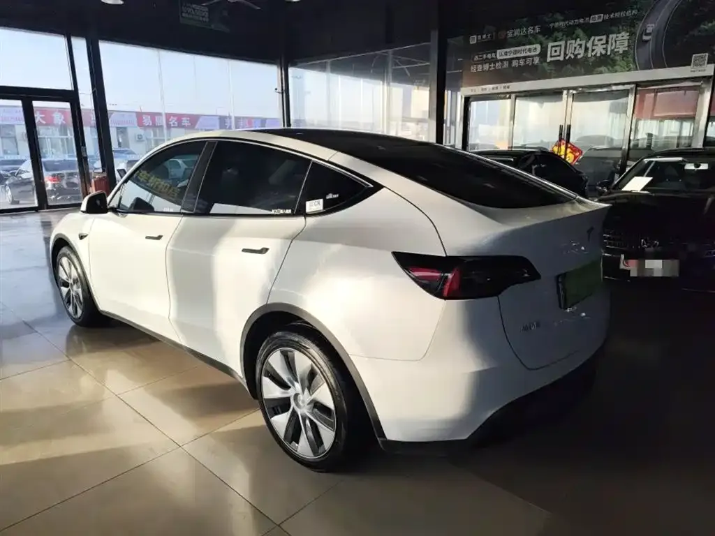 Tesla Model Y 2021 из CN, фото 3