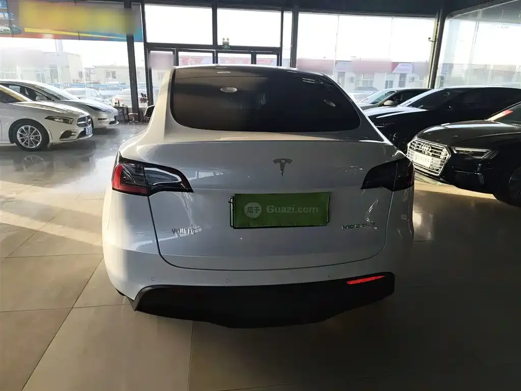 Tesla Model Y 2021 из CN, фото 5