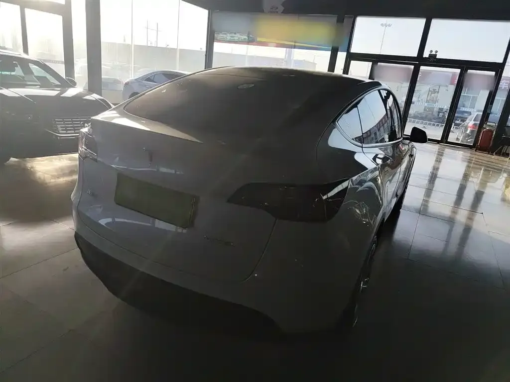 Tesla Model Y 2021 из CN, фото 2