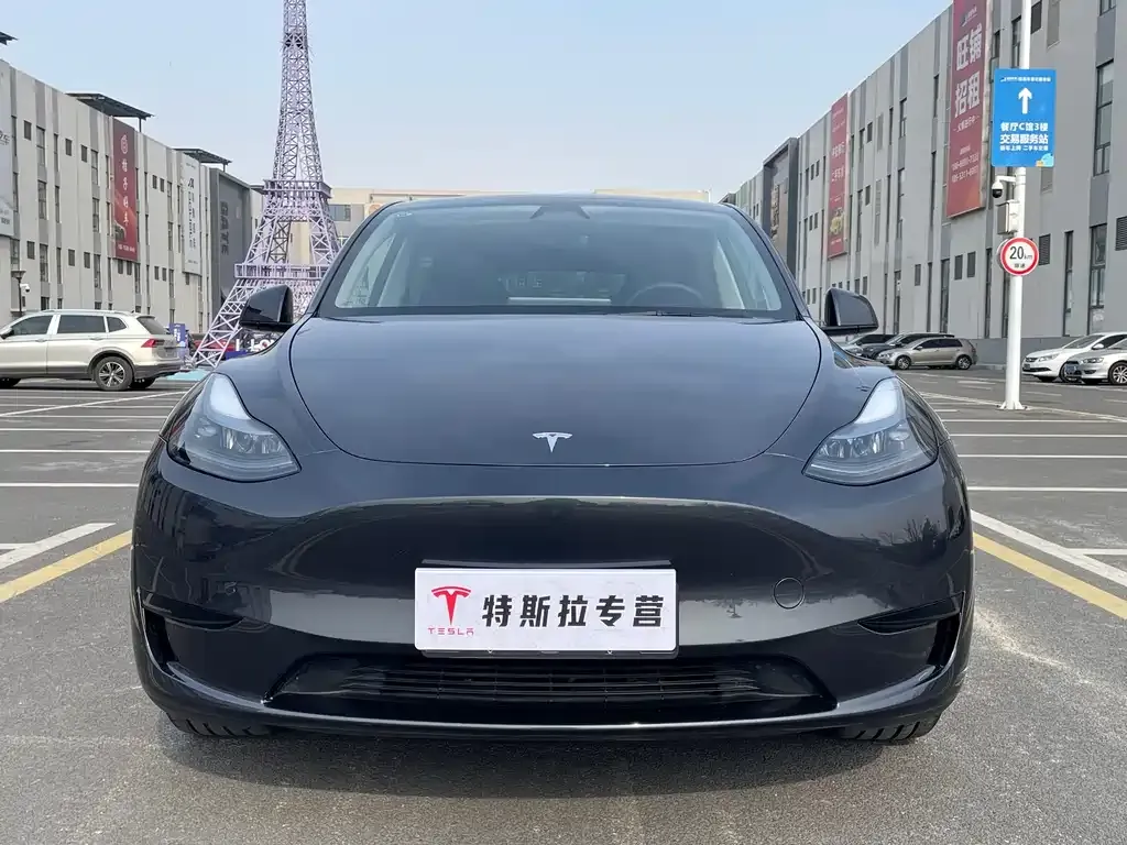 Tesla Model Y 2025 из CN, фото 9