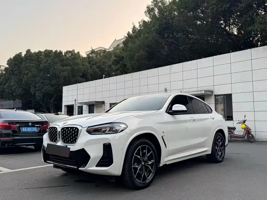 BMW X4 2022 из CN, фото 1