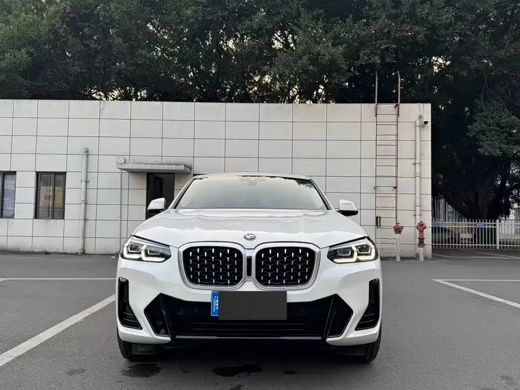 BMW X4 2022 из CN, фото 9