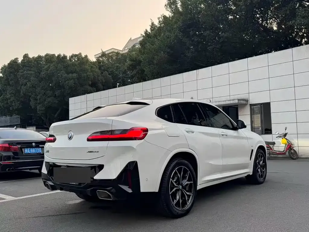 BMW X4 2022 из CN, фото 6