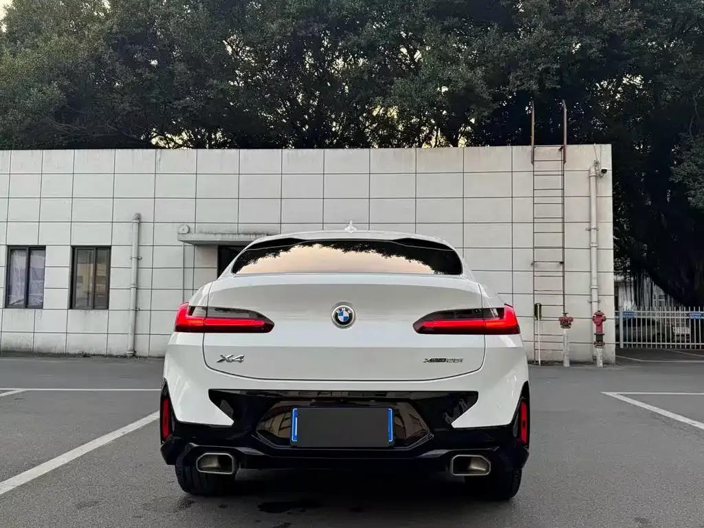 BMW X4 2022 из CN, фото 7