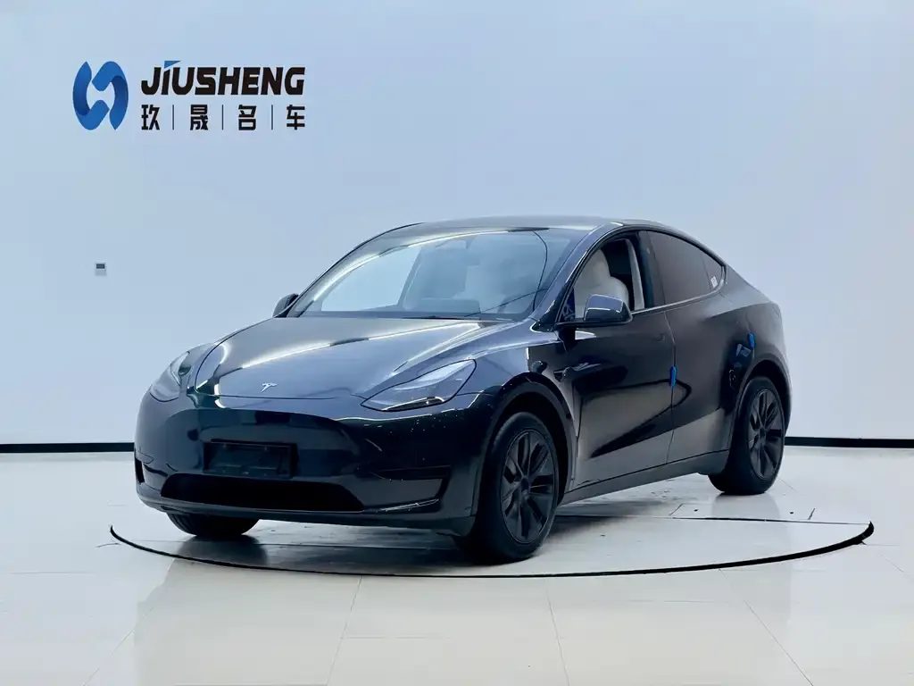 Tesla Model Y 2024 из CN, фото 1