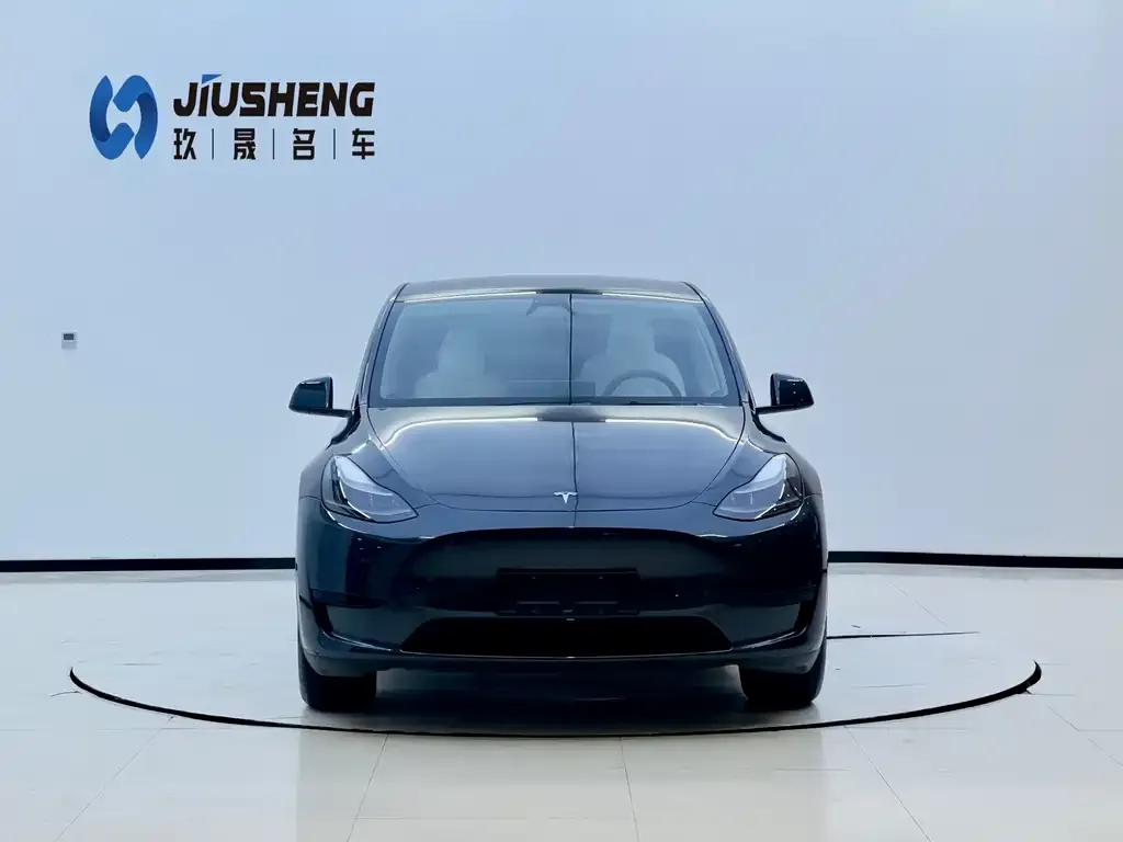 Tesla Model Y 2024 из CN, фото 2