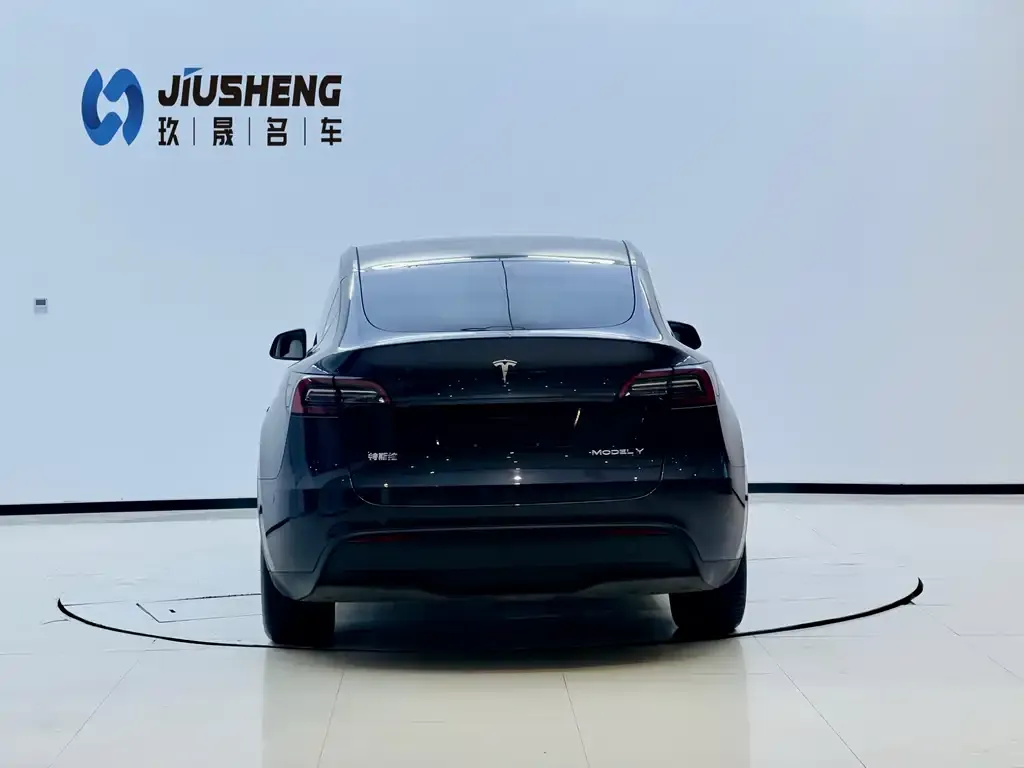 Tesla Model Y 2024 из CN, фото 4