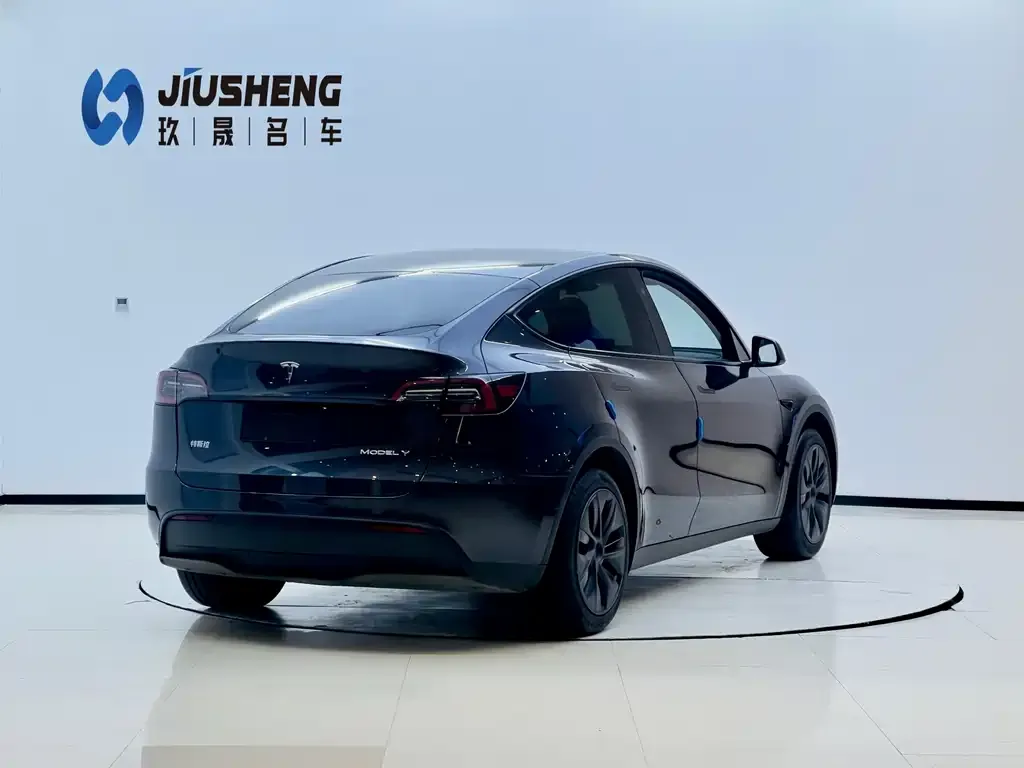 Tesla Model Y 2024 из CN, фото 5