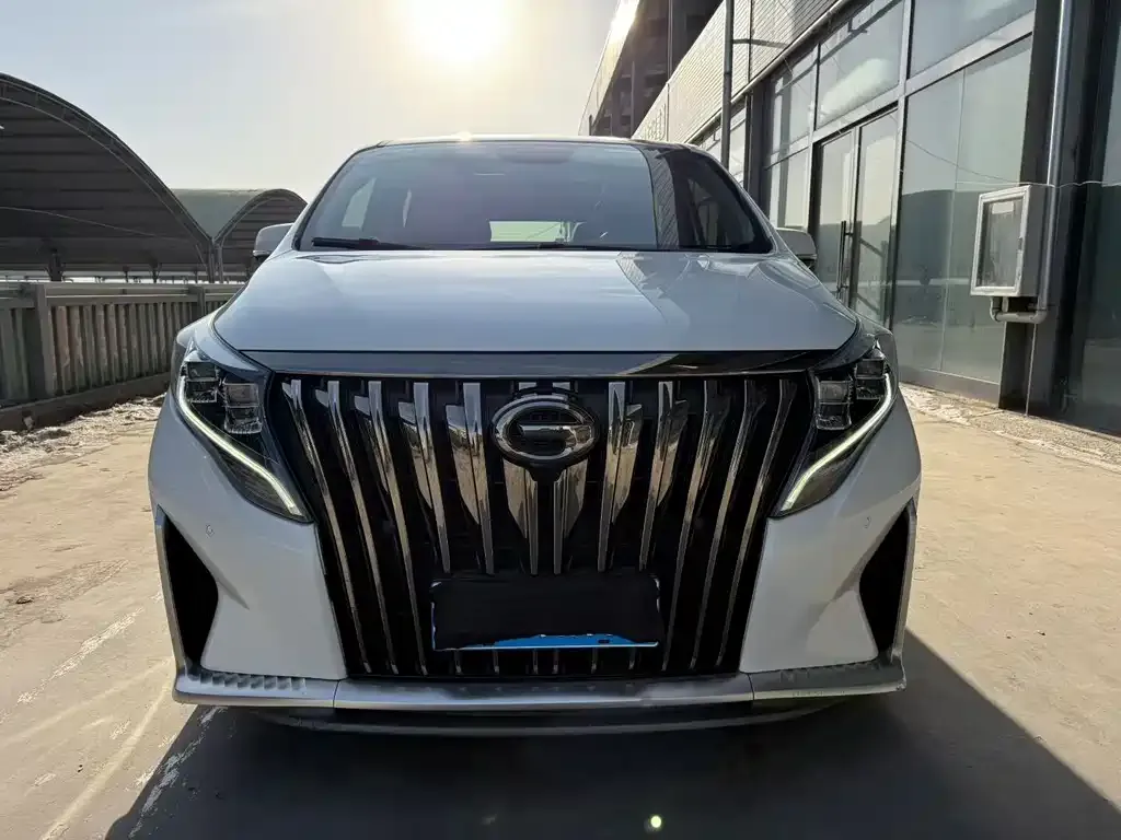 GAC Motor Trumpchi M8 2021 из CN, фото 8