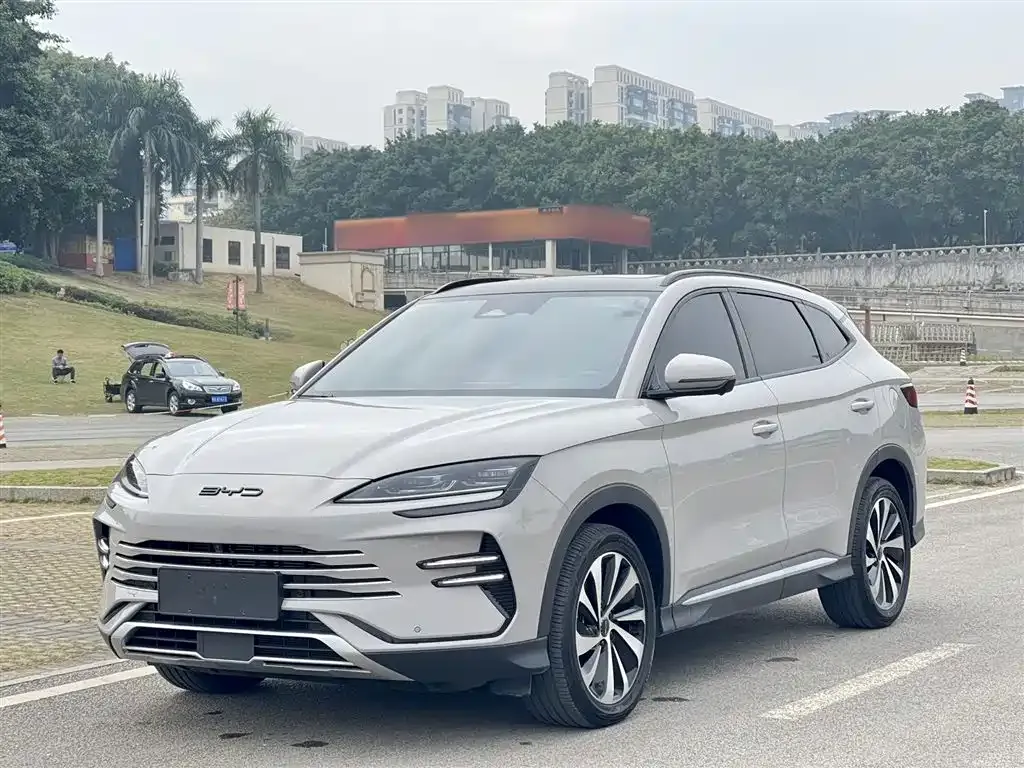 BYD PLUS New Energy 2024 из CN, фото 10