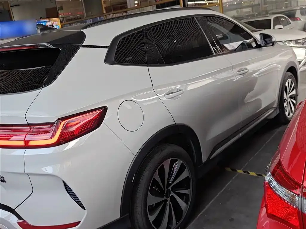 BYD PLUS New Energy 2024 из CN, фото 7