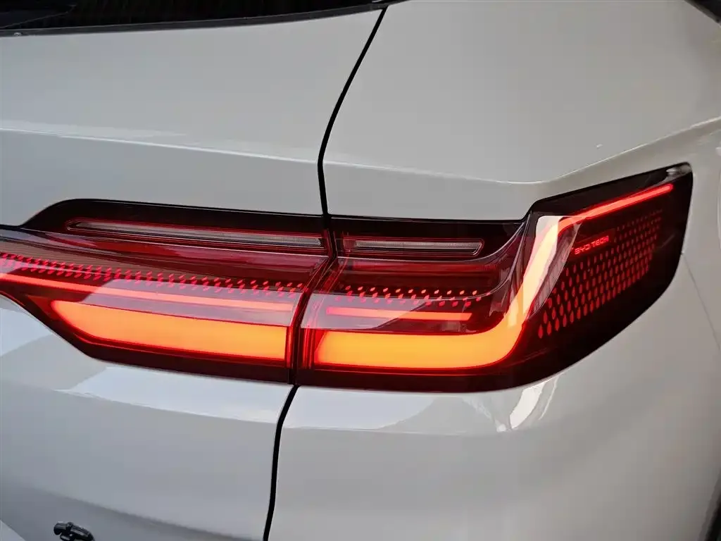 BYD PLUS New Energy 2024 из CN, фото 2