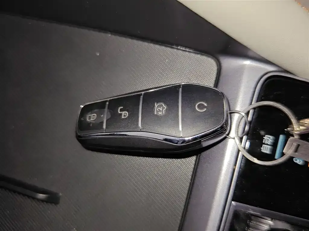 BYD PLUS New Energy 2024 из CN, фото 3