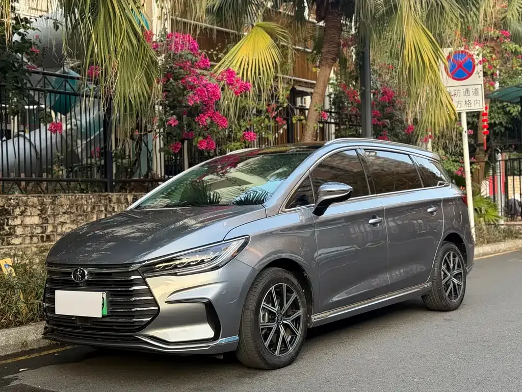 BYD MAX New Energy 2023 из CN, фото 1
