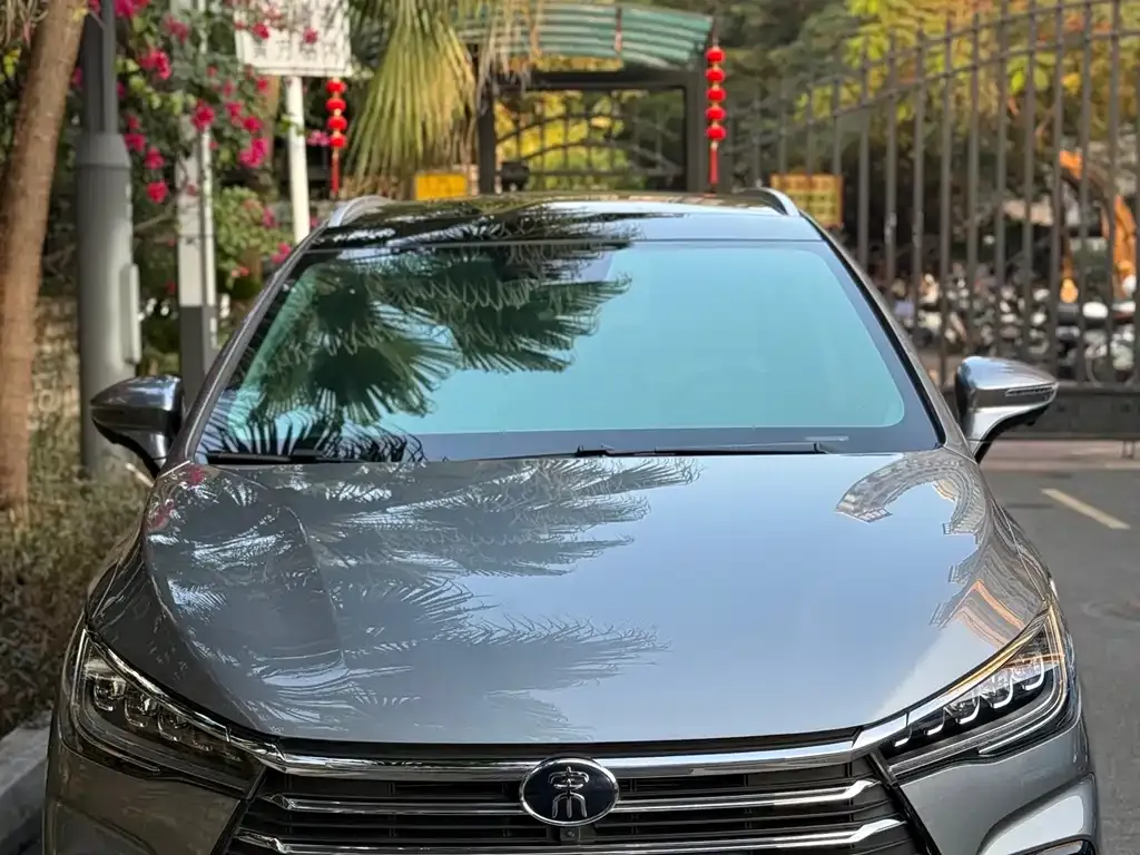 BYD MAX New Energy 2023 из CN, фото 5