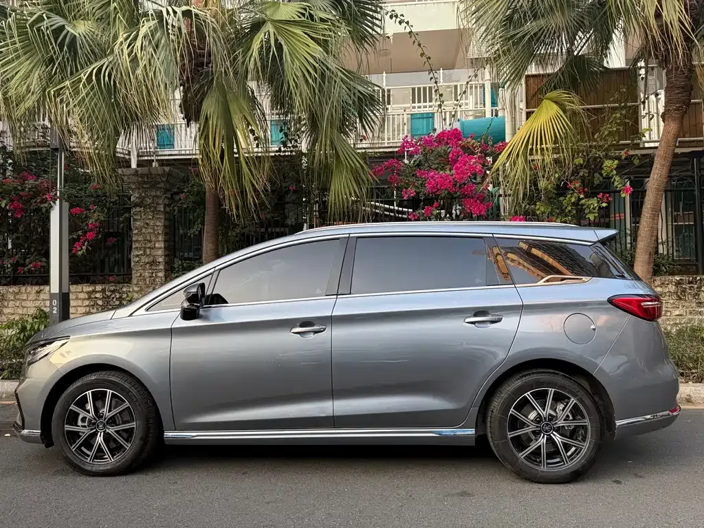 BYD MAX New Energy 2023 из CN, фото 10
