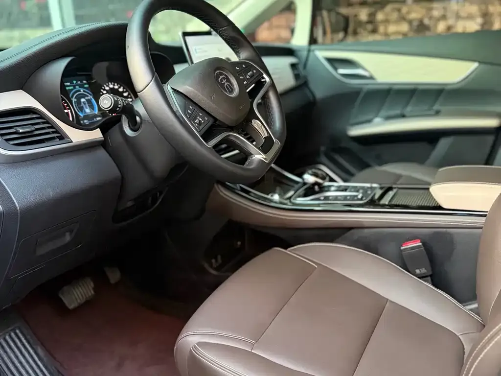 BYD MAX New Energy 2023 из CN, фото 6