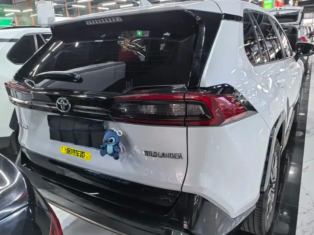Toyota Wildlander 2024 из CN, фото 7