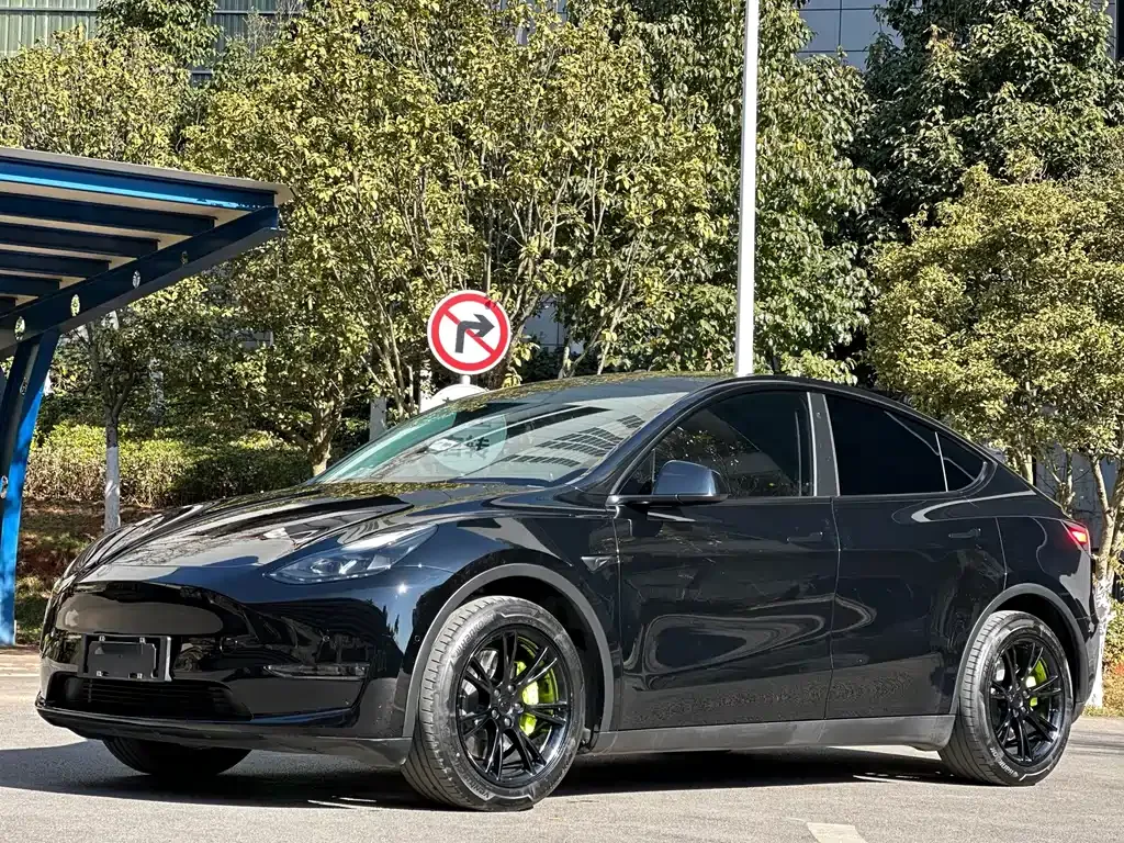 Tesla Model Y 2022 из CN, фото 1