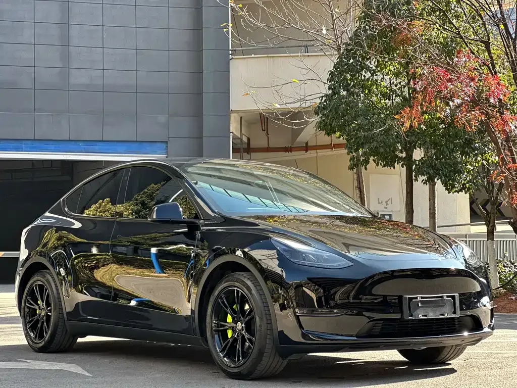 Tesla Model Y 2022 из CN, фото 6