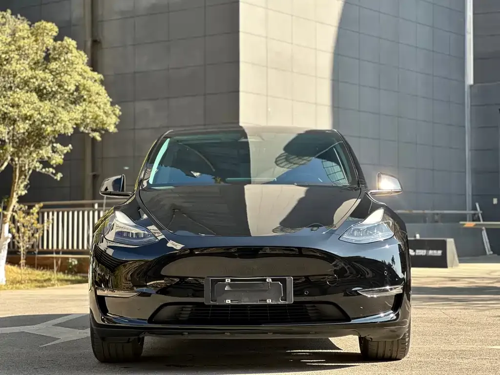 Tesla Model Y 2022 из CN, фото 2