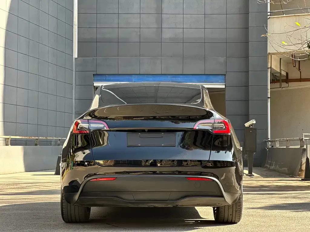 Tesla Model Y 2022 из CN, фото 4