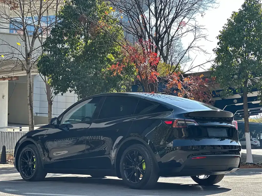 Tesla Model Y 2022 из CN, фото 5