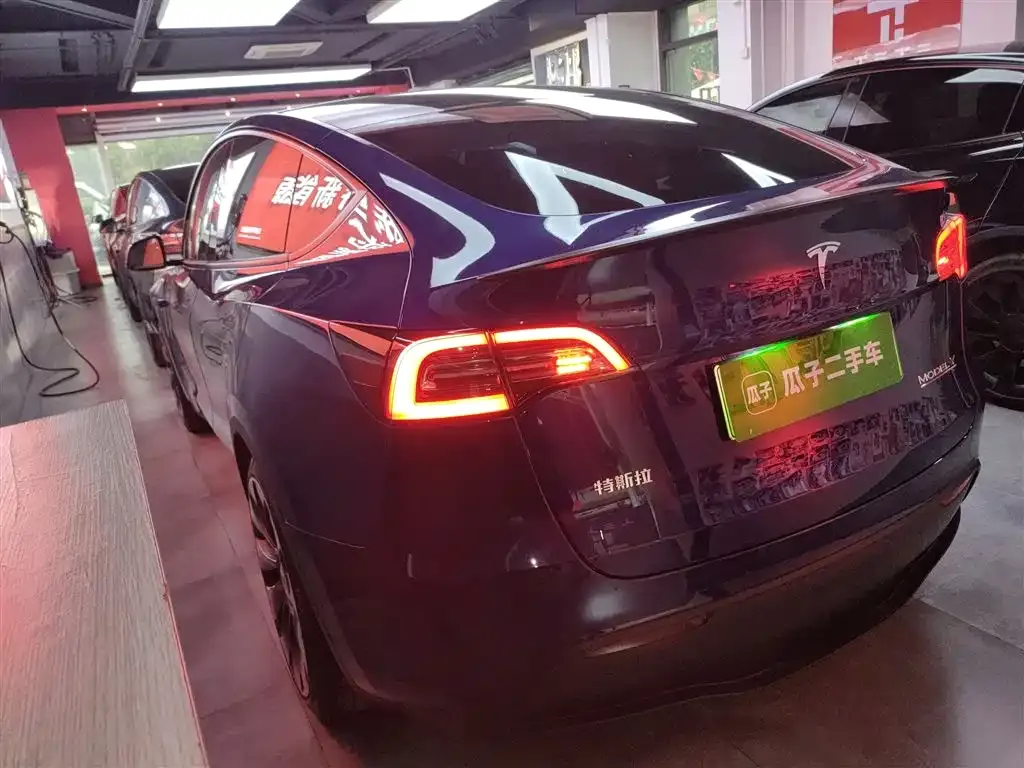 Tesla Model Y 2021 из CN, фото 5
