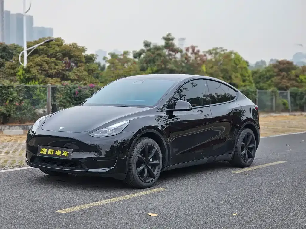 Tesla Model Y — фото 1