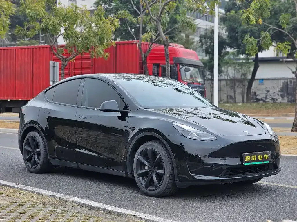 Tesla Model Y — фото 6