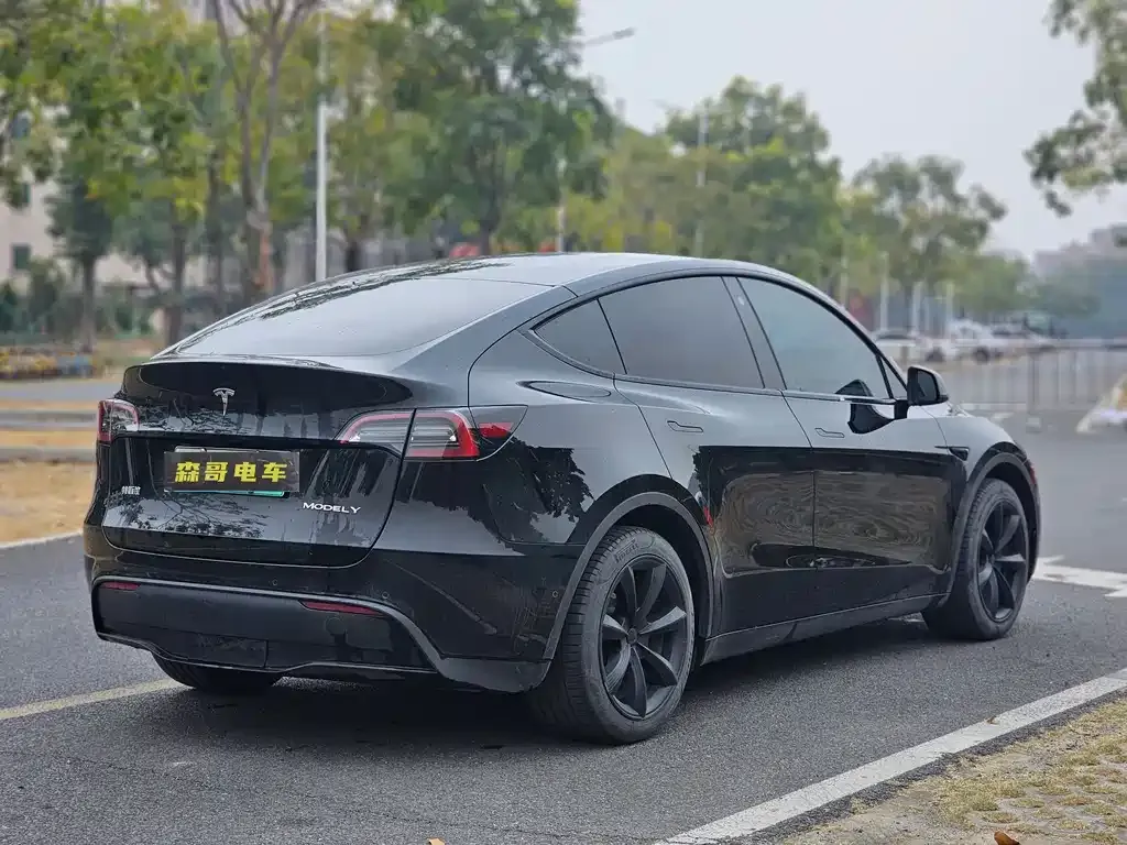 Tesla Model Y — фото 5