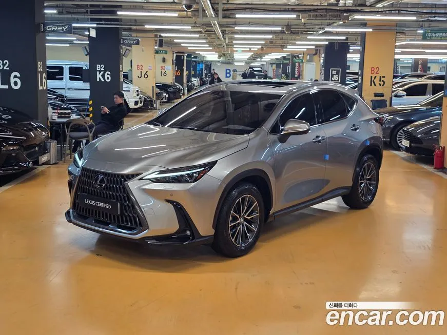 Lexus NX 2025 из KR, фото 1