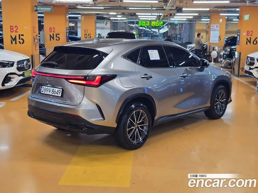 Lexus NX 2025 из KR, фото 6