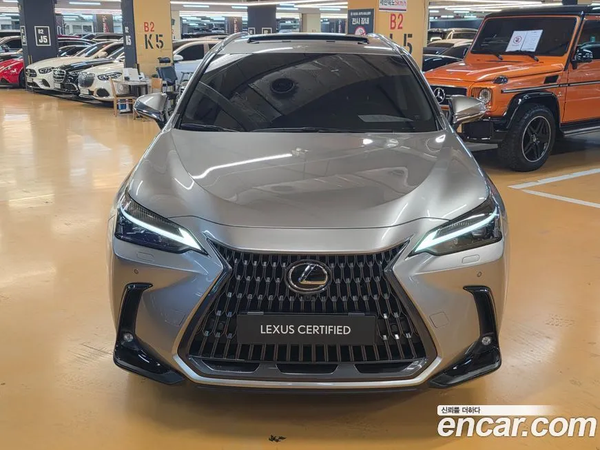 Lexus NX 2025 из KR, фото 9